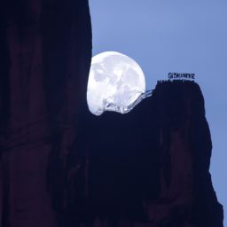 月神moon直播平台，月神官网